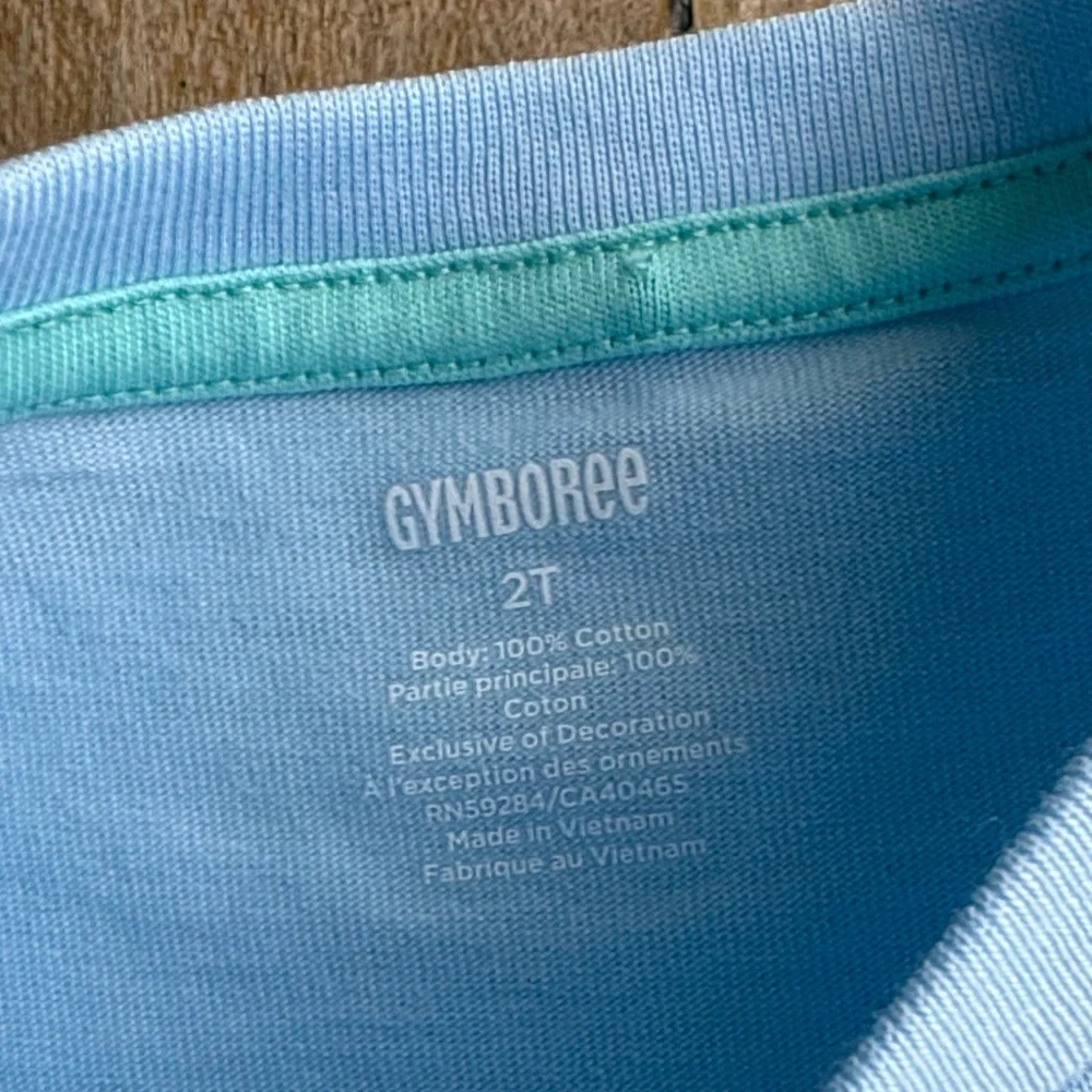 NWT Gymboree Boys Bunny Tee 2t